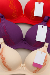 Silk Embroidered Padded Bra For Women – Luxury Undergarment With Soft Silk Fabric, Stylish Embroidery, Comfortable Fit & Everyday Support (Random Color) -